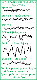 Το ηλεκτροεγκεφαλογράφημα του ύπνου