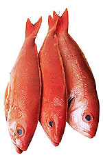 Ψάρια και όραση: Η κατανάλωση ψαριών μειώνει τον κίνδυνο για απώλεια όρασης και τύφλωση.