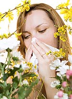 Η γύρη των λουλουδιών και η μούχλα είναι σημαντικές αιτίες αλλεργίας.